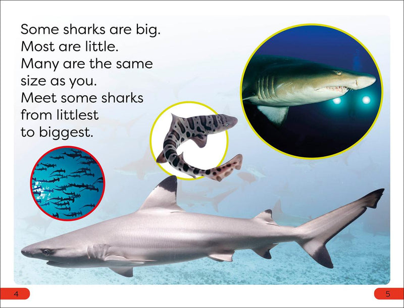 DK Super Readers Pre-Level Little Sharks Big Sharks US - Hardback