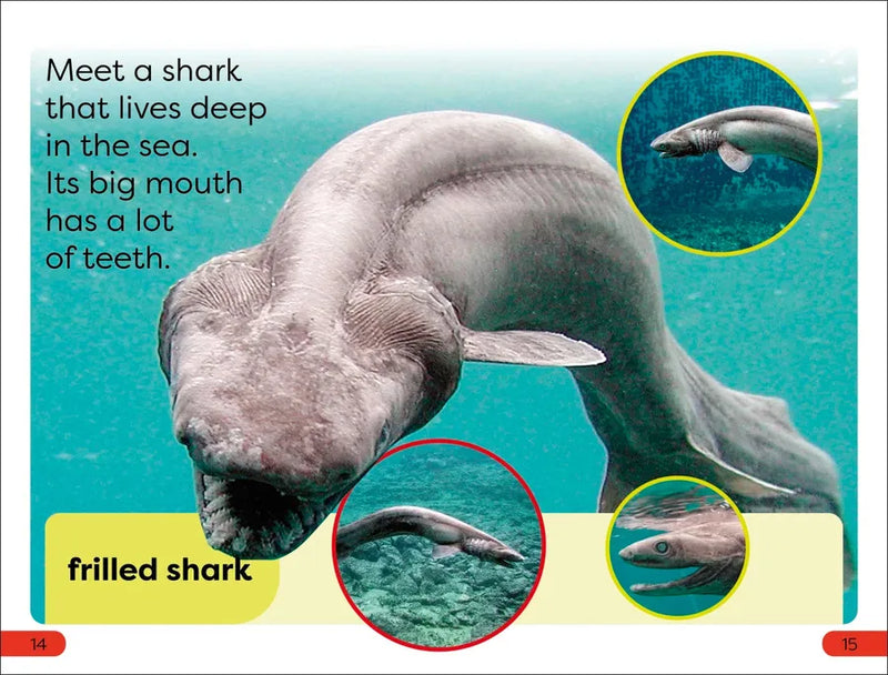 DK Super Readers Pre-Level Little Sharks Big Sharks US - Paperback / softback