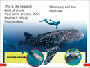 DK Super Readers Pre-Level Little Sharks Big Sharks US - Paperback / softback