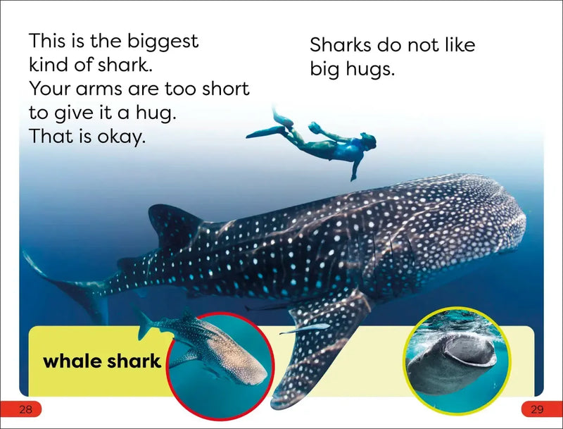 DK Super Readers Pre-Level Little Sharks Big Sharks US - Paperback / softback