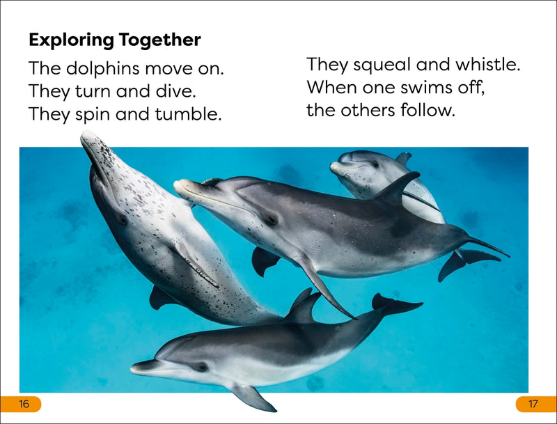 DK Super Readers Level 1 Diving Dolphin US - Paperback / softback