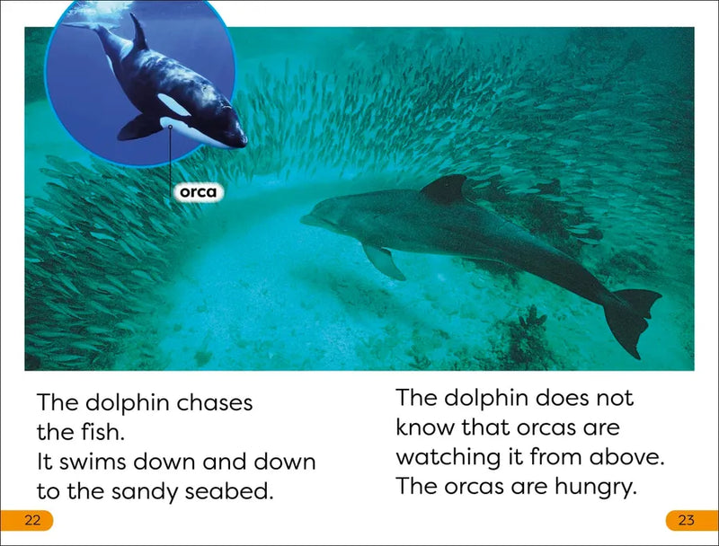 DK Super Readers Level 1 Diving Dolphin US - Paperback / softback