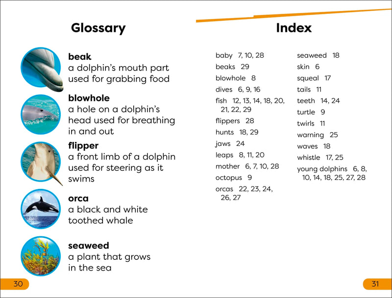 DK Super Readers Level 1 Diving Dolphin US - Paperback / softback