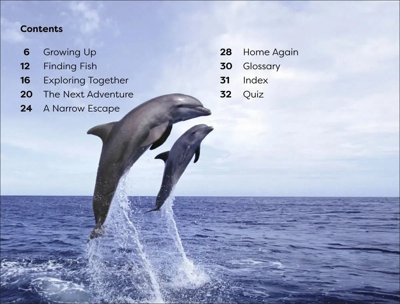 DK Super Readers Level 1 Diving Dolphin US - Paperback / softback