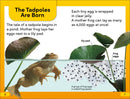 DK Super Readers Level 2 Tale of a Tadpole US - Hardback