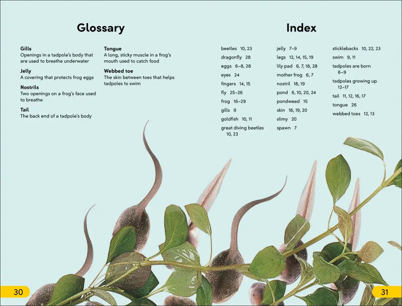 DK Super Readers Level 2 Tale of a Tadpole US - Hardback