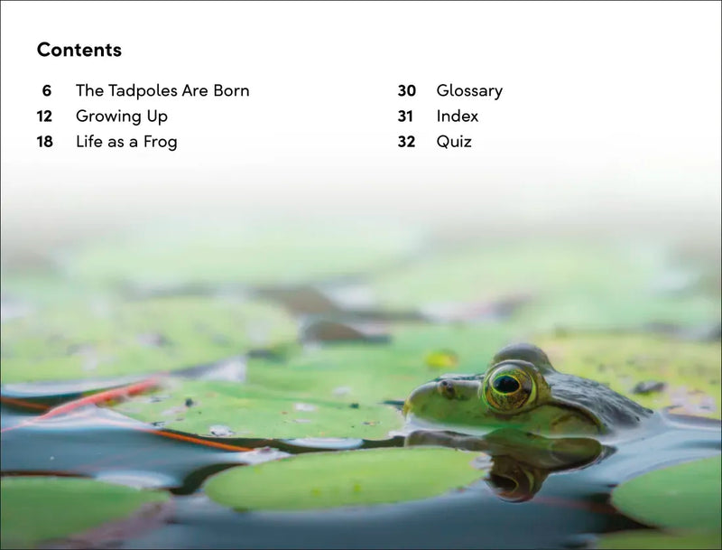 DK Super Readers Level 2 Tale of a Tadpole US - Hardback