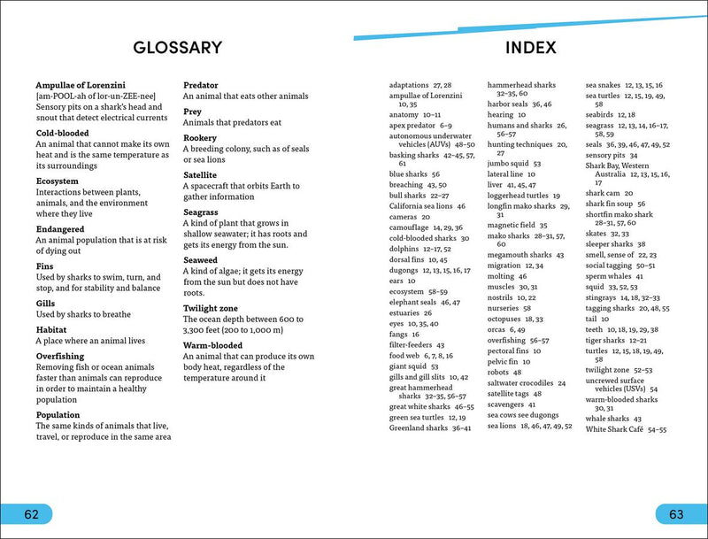 DK Super Readers Level 4 Shark: Apex Predator US - Hardback