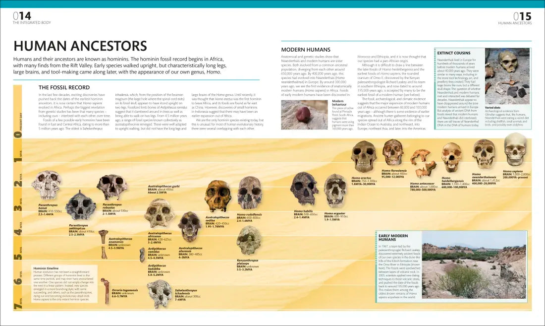 The Complete Human Body US - Hardback