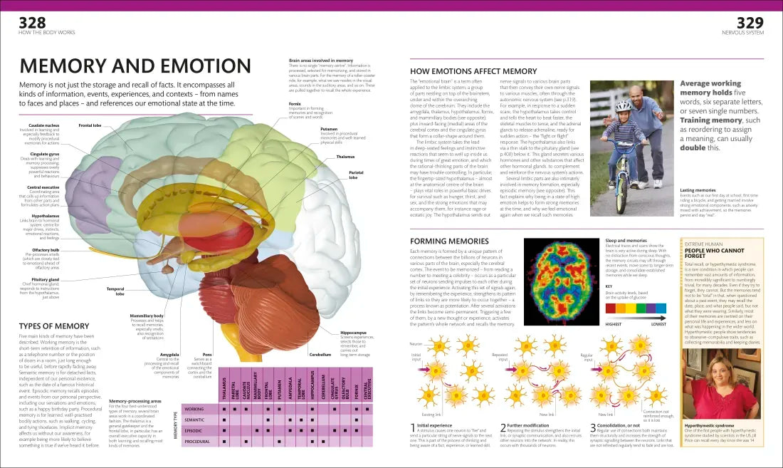 The Complete Human Body US - Hardback