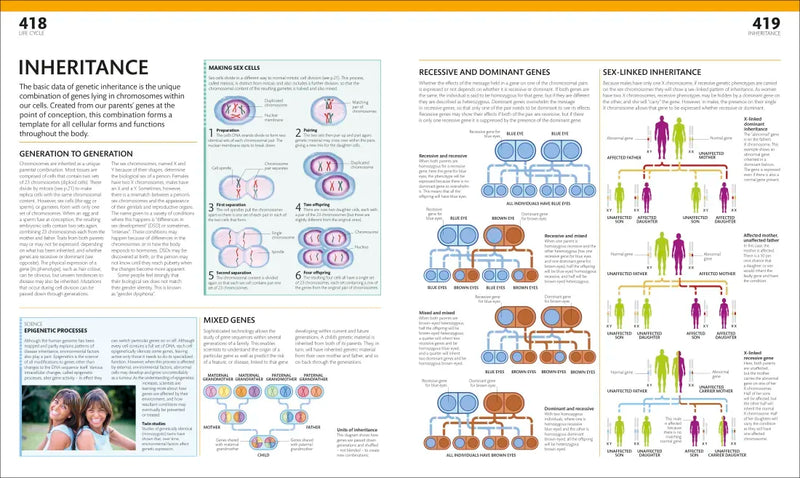 The Complete Human Body US - Hardback