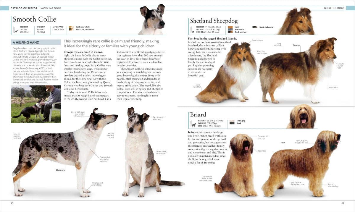 The Dog Encyclopedia US - Hardback