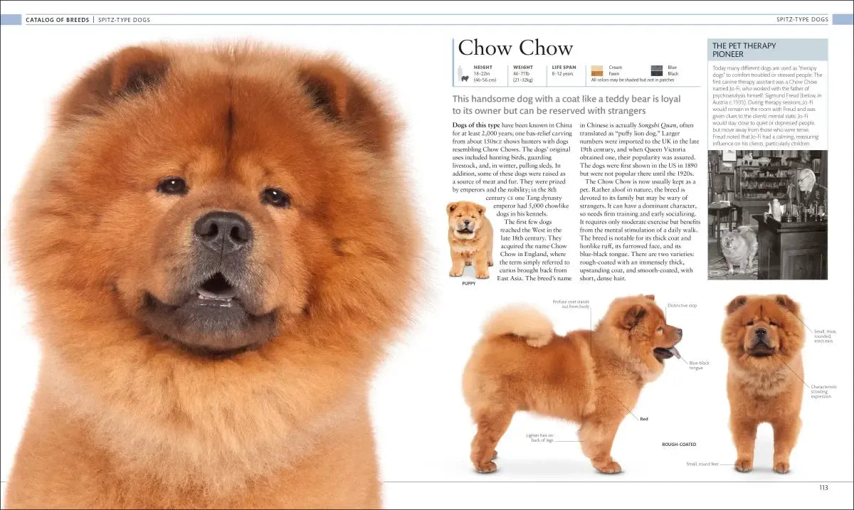 The Dog Encyclopedia US - Hardback
