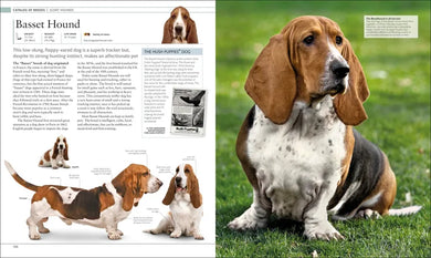 The Dog Encyclopedia US - Hardback