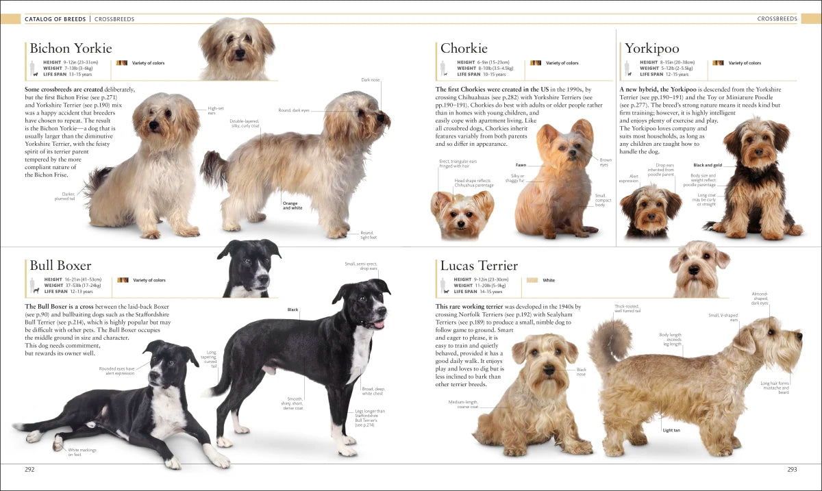 The Dog Encyclopedia US - Hardback