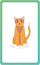 French for Everyone Junior First Words Flash Cards US - Cards