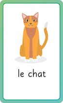 French for Everyone Junior First Words Flash Cards US - Cards
