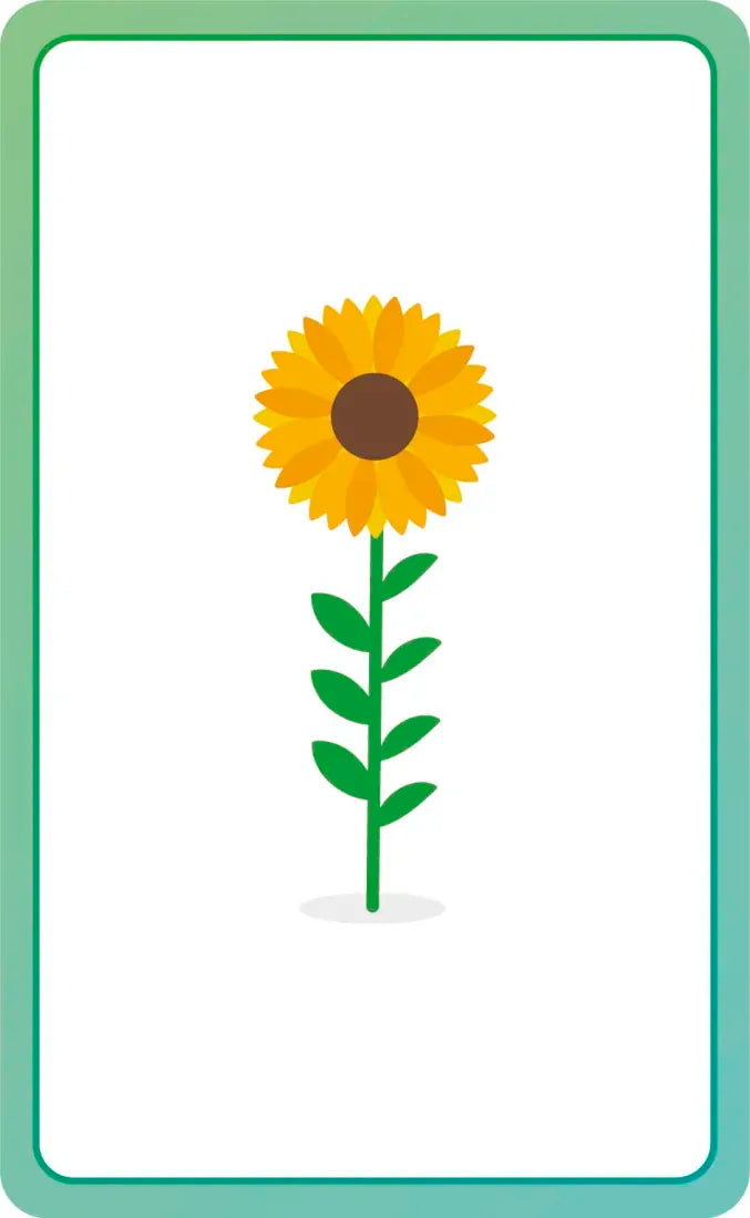 French for Everyone Junior First Words Flash Cards US - Cards