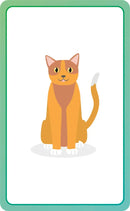 German for Everyone Junior First Words Flash Cards US - Cards