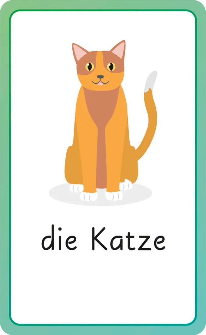 German for Everyone Junior First Words Flash Cards US - Cards