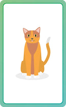 Italian for Everyone Junior First Words Flash Cards US - Cards