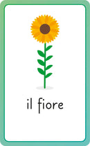 Italian for Everyone Junior First Words Flash Cards US - Cards