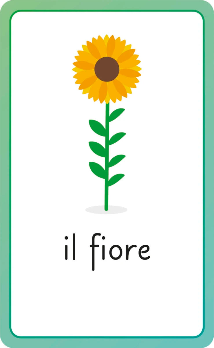 Italian for Everyone Junior First Words Flash Cards US - Cards