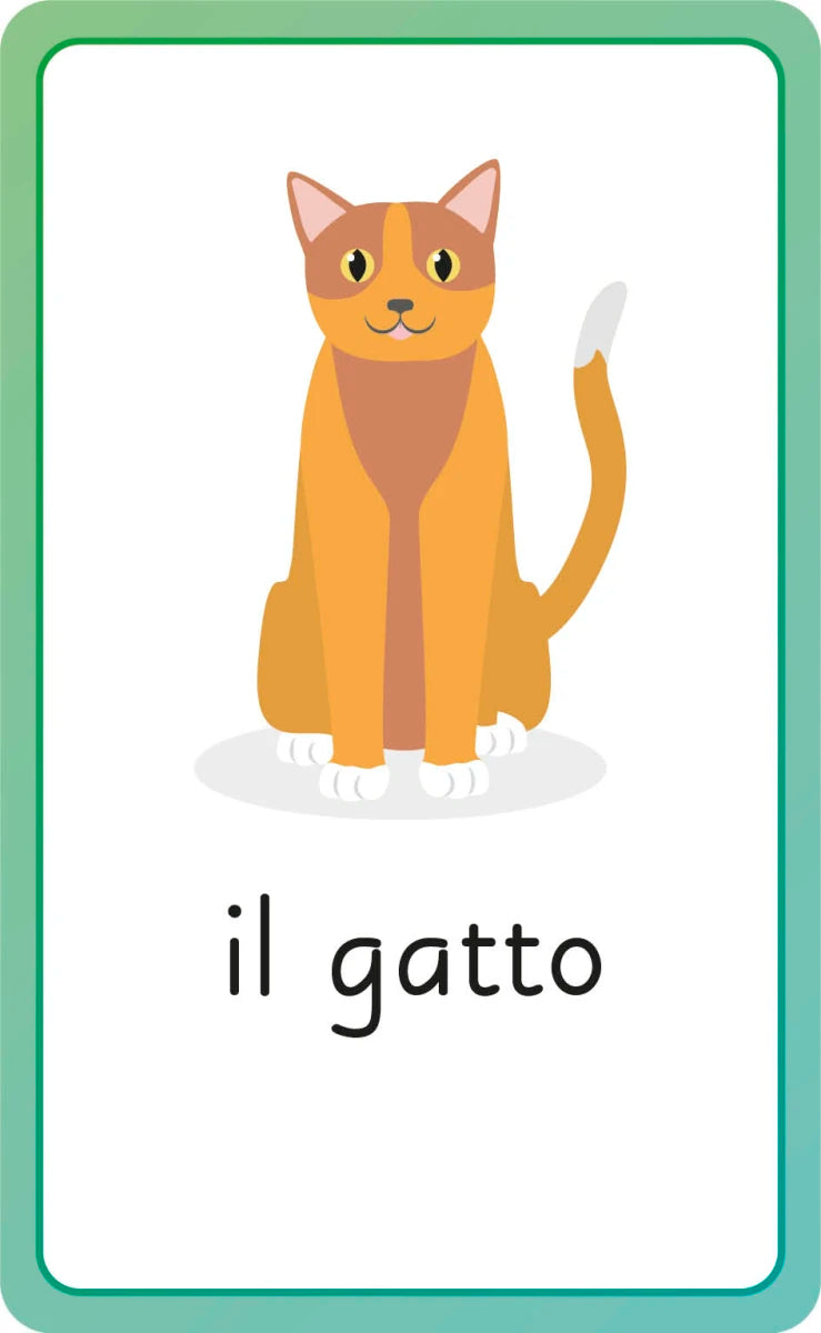Italian for Everyone Junior First Words Flash Cards US - Cards