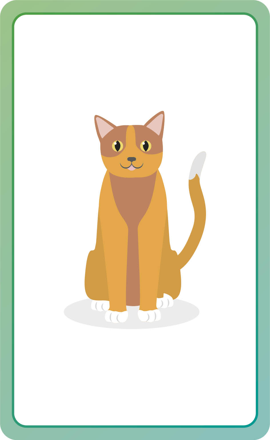 Spanish for Everyone Junior First Words Flash Cards US - Cards