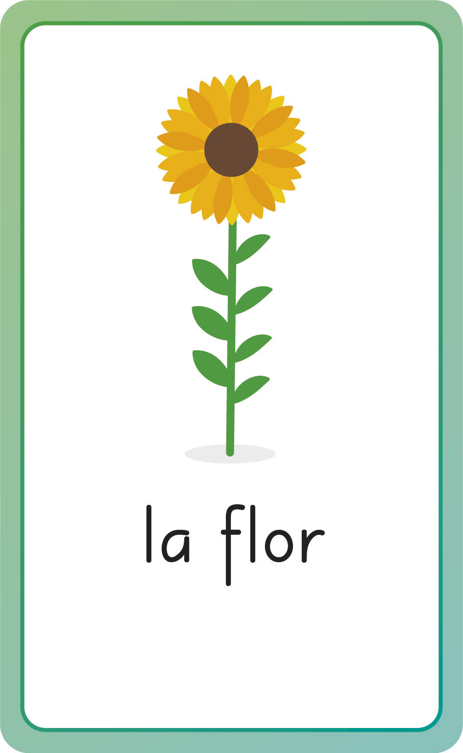 Spanish for Everyone Junior First Words Flash Cards US - Cards