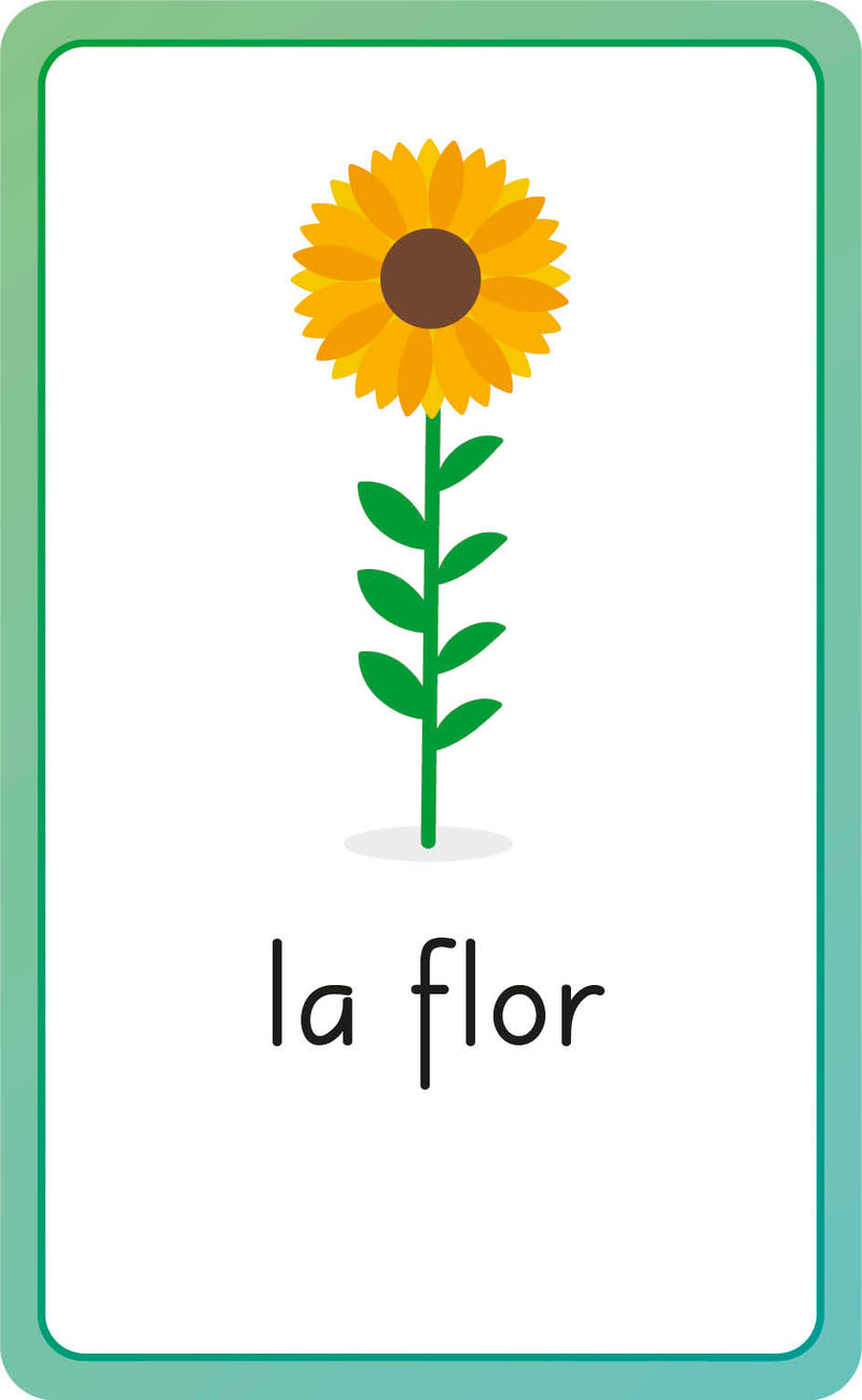 Spanish for Everyone Junior First Words Flash Cards US - Cards