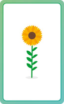 Spanish for Everyone Junior First Words Flash Cards US - Cards