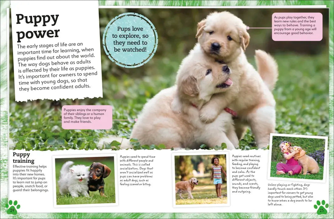 My Book of Dogs and Puppies US - Hardback