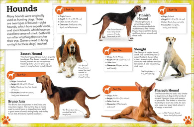 My Book of Dogs and Puppies US - Hardback