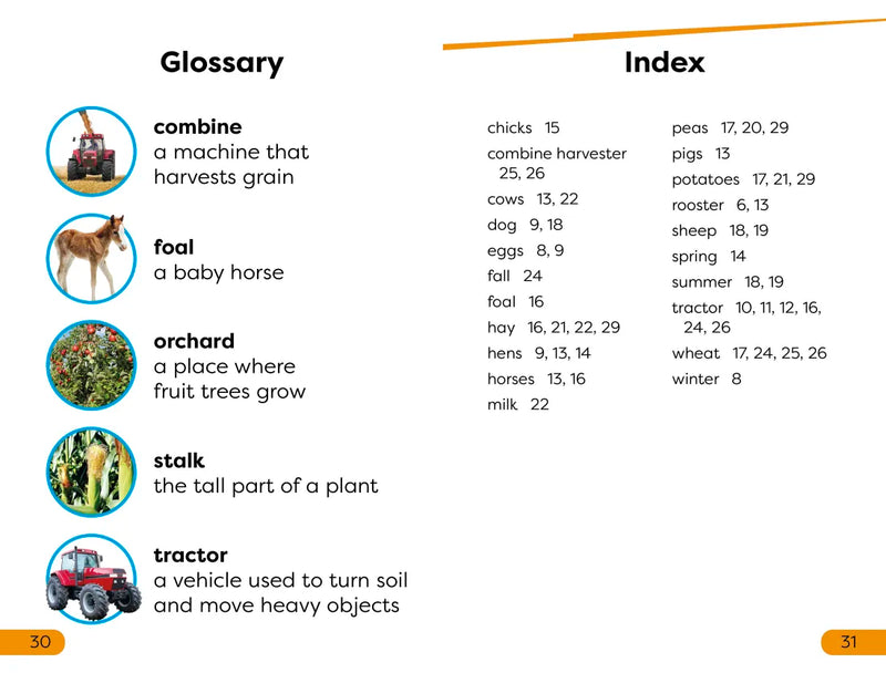 DK Super Readers Level 1 A Year on the Farm US - Paperback / softback
