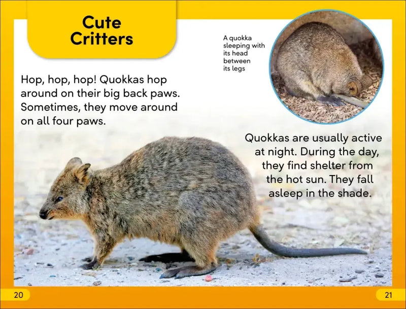 DK Super Readers Level 2 Quokkas US - Hardback