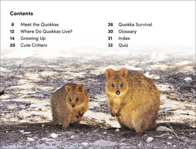 DK Super Readers Level 2 Quokkas US - Paperback / softback