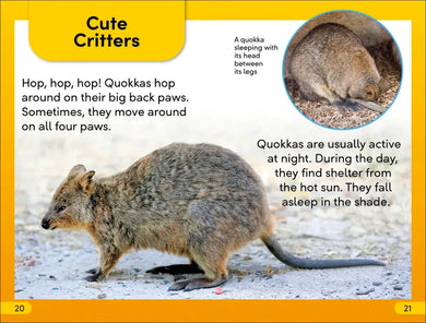 DK Super Readers Level 2 Quokkas US - Paperback / softback