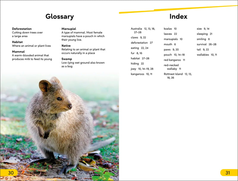 DK Super Readers Level 2 Quokkas US - Paperback / softback