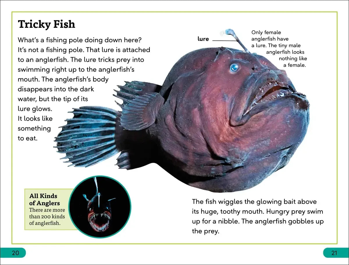 DK Super Readers Level 3 Deep-Sea Creatures US - Hardback
