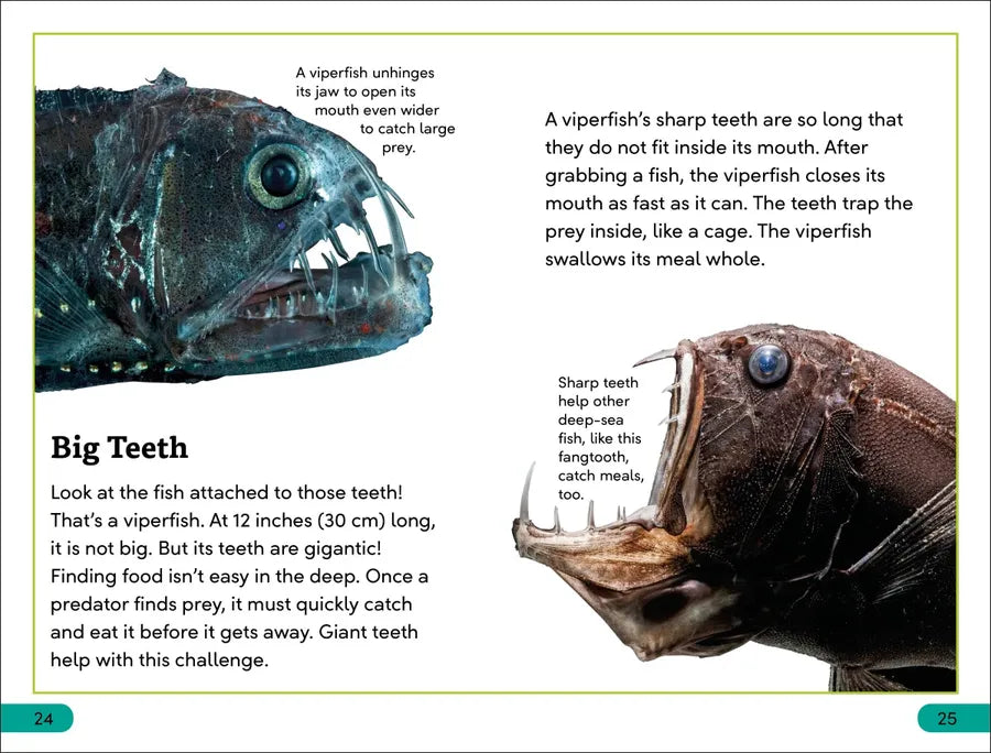 DK Super Readers Level 3 Deep-Sea Creatures US - Hardback