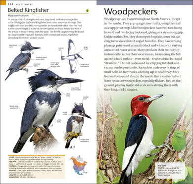 AMNH Pocket Birds of North America Eastern Region US - Paperback / softback
