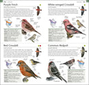 AMNH Pocket Birds of North America Eastern Region US - Paperback / softback