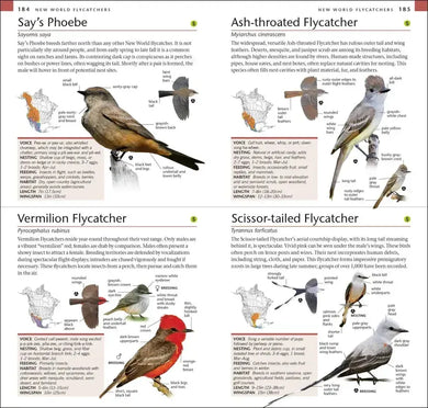 AMNH Pocket Birds of North America Western Region US - Paperback / softback