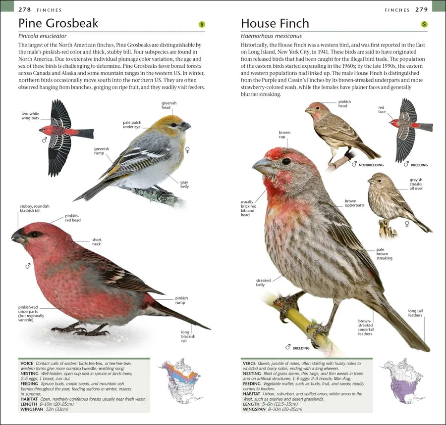 AMNH Pocket Birds of North America Western Region US - Paperback / softback