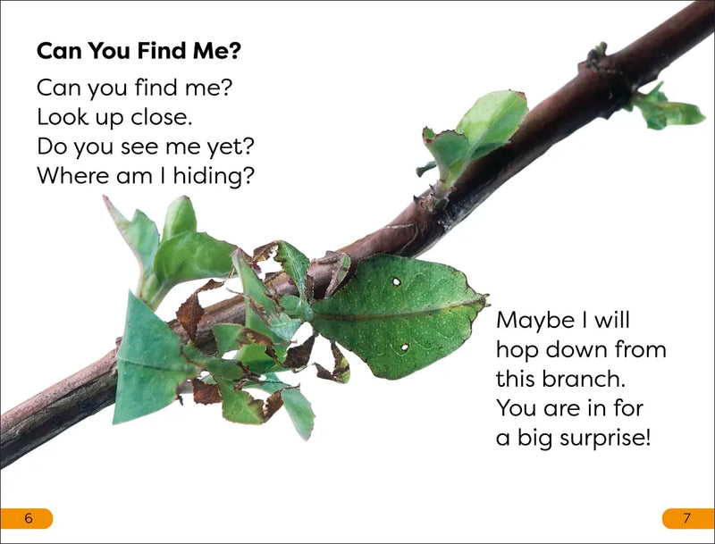 DK Super Readers Level 1 Bugs Hide and Seek US - Hardback