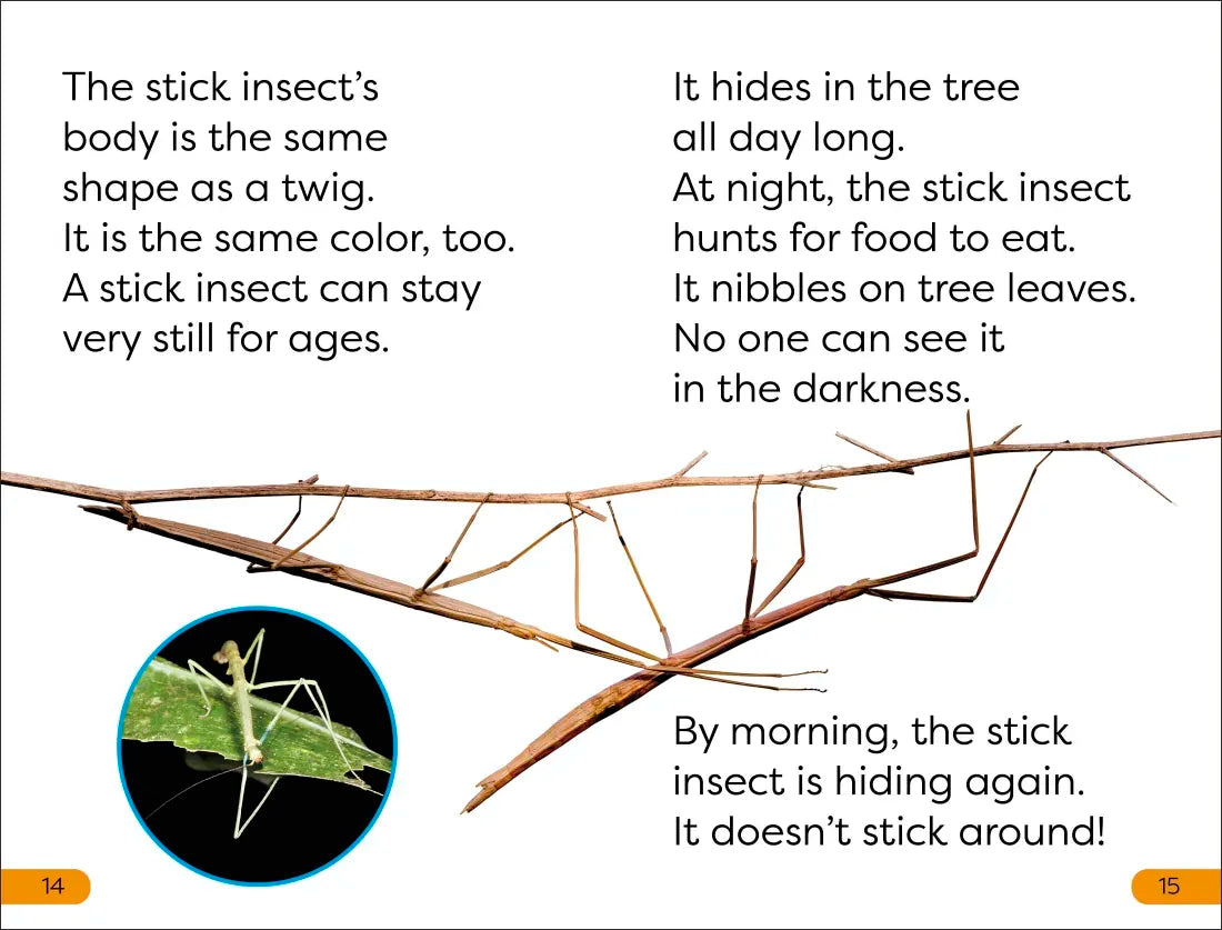 DK Super Readers Level 1 Bugs Hide and Seek US - Hardback