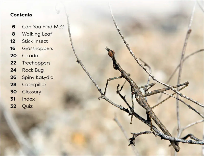 DK Super Readers Level 1 Bugs Hide and Seek US - Paperback / softback