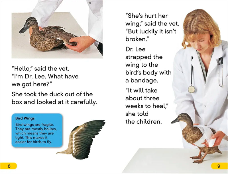 DK Super Readers Level 2 Animal Hospital US - Paperback / softback