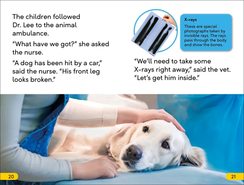 DK Super Readers Level 2 Animal Hospital US - Paperback / softback